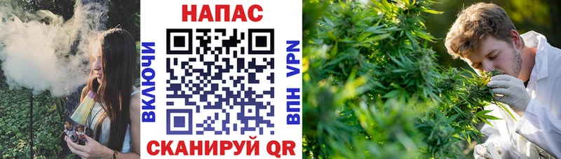Наркота Рошаль А ПВП  Мефедрон  ГАШИШ 