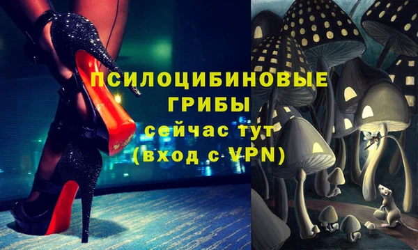 ГАЛЛЮЦИНОГЕННЫЕ ГРИБЫ Армянск