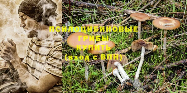 ГАЛЛЮЦИНОГЕННЫЕ ГРИБЫ Армянск